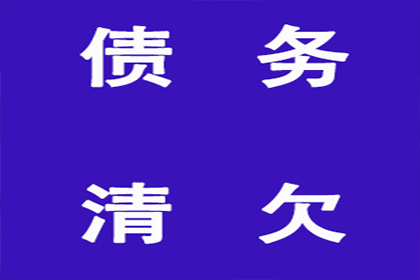 嘉鱼讨债公司